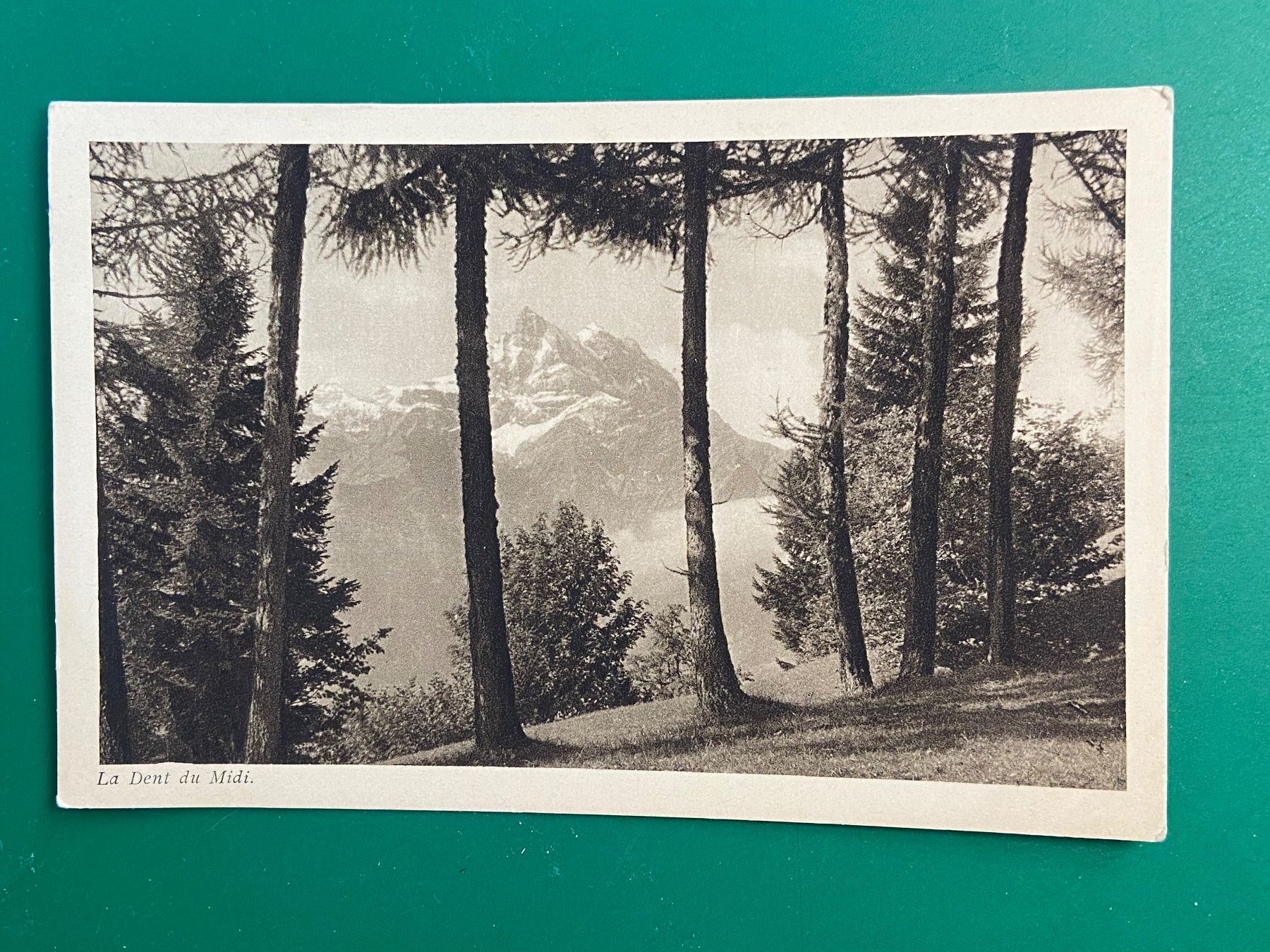 Cartoline postali: La Dent du Midi – Usato da Steg VS venduto da _vinci_