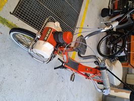 Noch ein schöner Solex 5000 Mini mit Ausweis !!