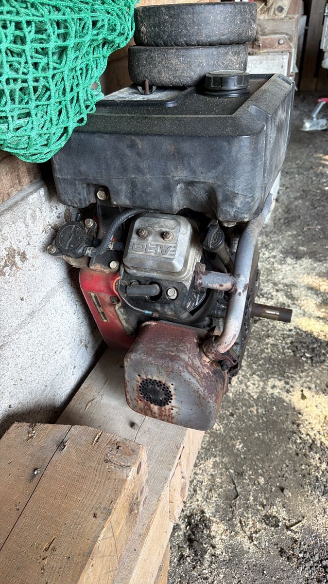 Vanguard  Motori: Moteur Vanguard 14HP – Difettoso da Val-d'Illiez venduto da axel1291 1