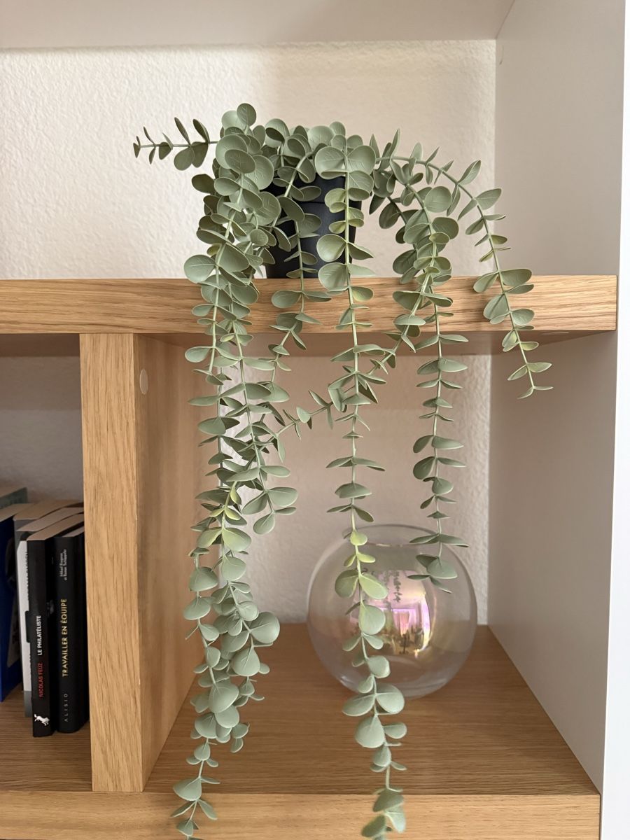 Piante & sementi: Plante artificielle  – Usato da Belmont-Lausanne venduto da Michelle_Srdr_