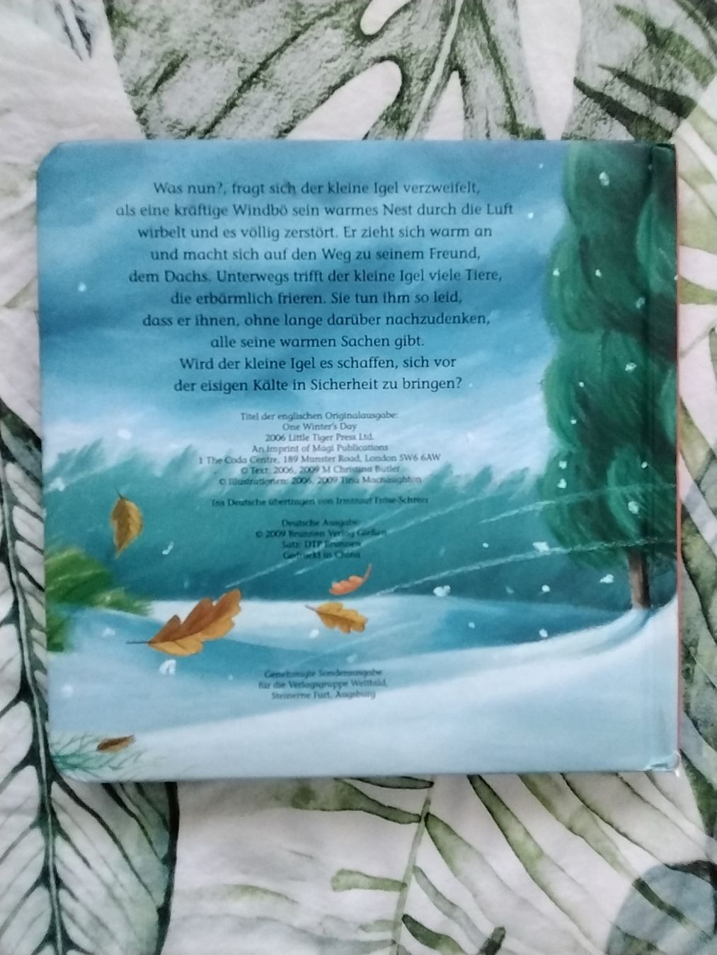 Libri: Der kleine Igel und das grosse Geschenk – Usato da Balterswil venduto da Meerdeern 2