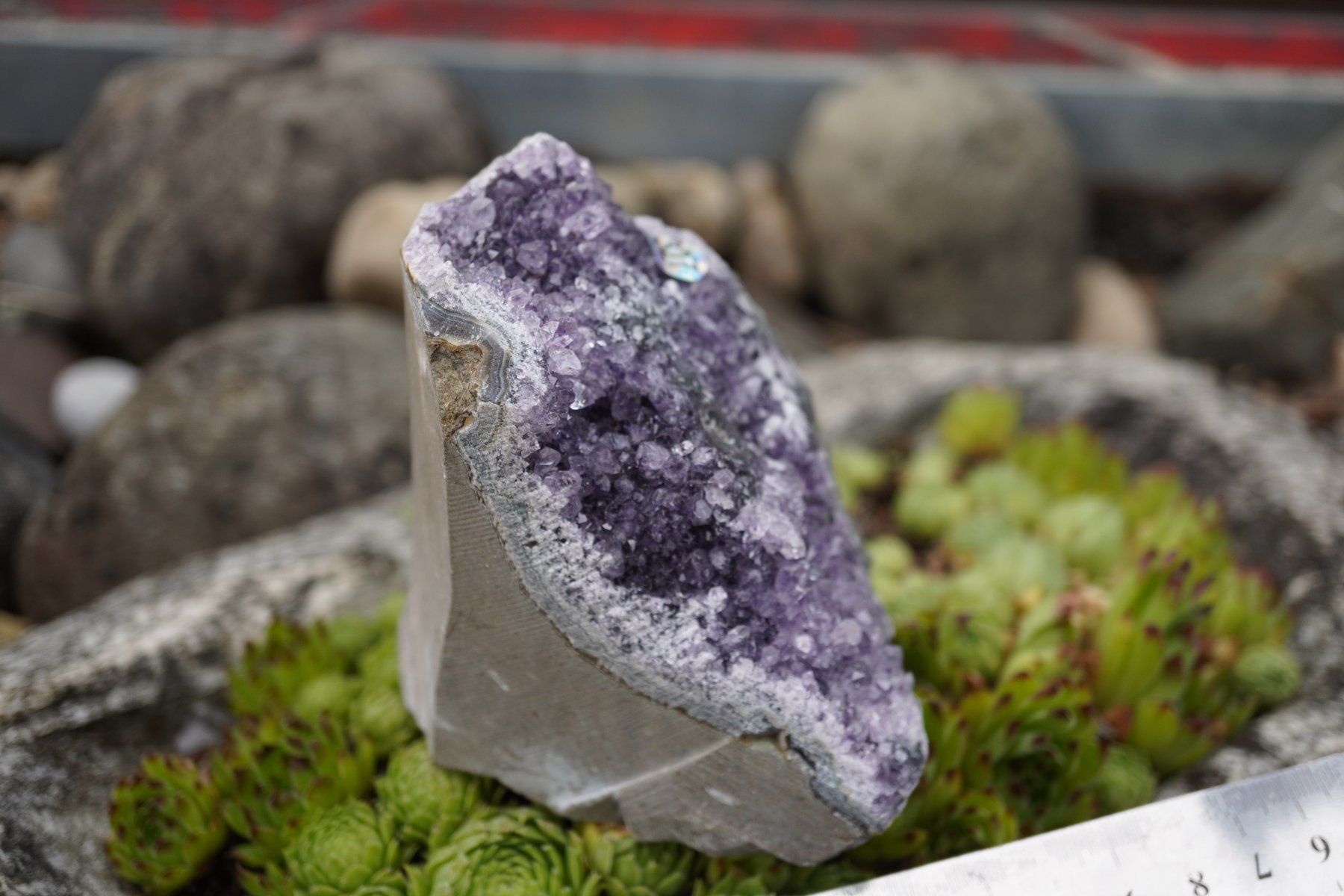 Minerali & Pietre curative: Amethyst Drusen Stück    620g  Topstone  ab  10.- – Nuovo e nell'imballaggio originale da Eschenbach SG venduto da topstone 4