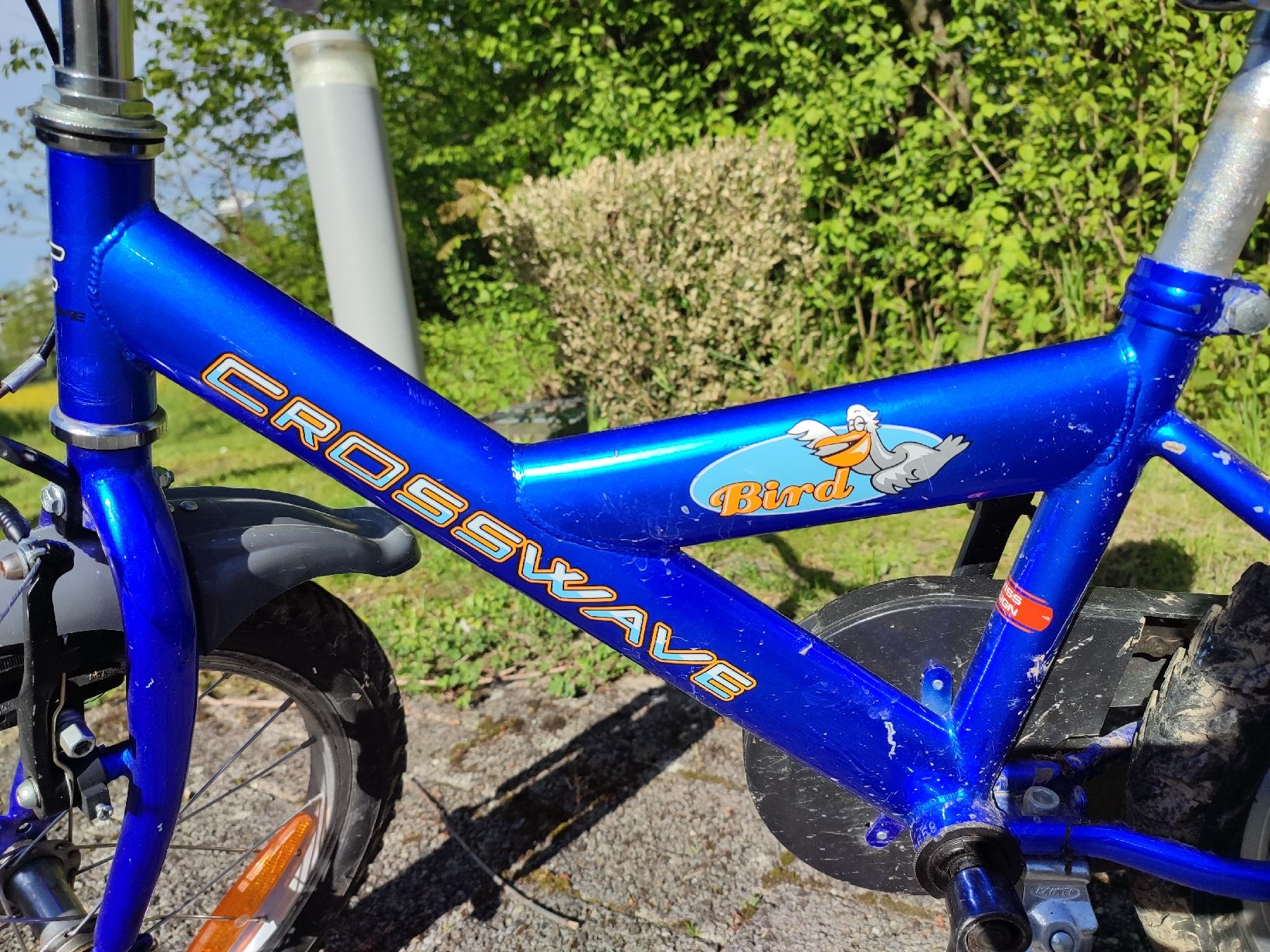 Biciclette: Velo blau – Usato da Dübendorf venduto da inf_5tgr