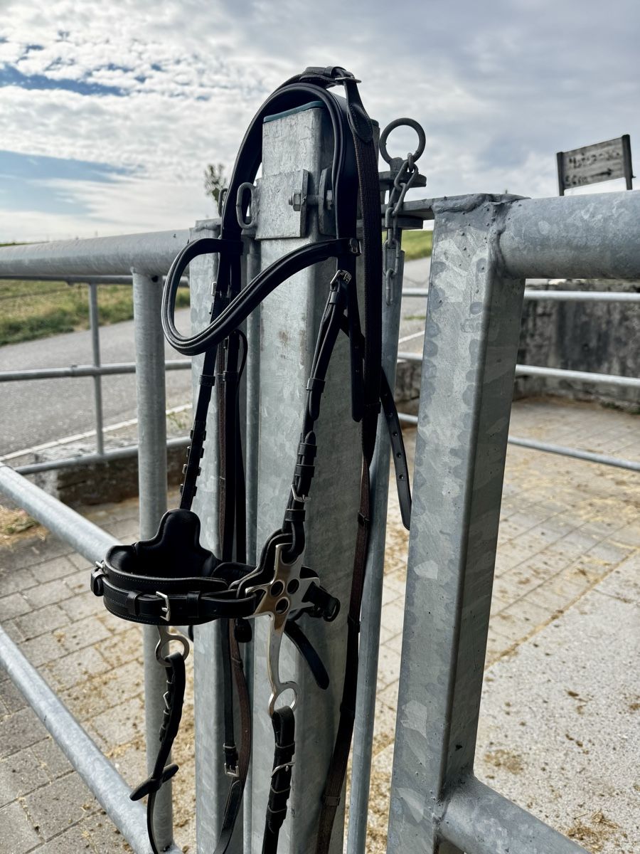 Zaumzeug & Halfter: Hackamore dunkelbraun Waldhausen – Neu (gemäss Beschreibung) aus Oetwil am See von LuniGW