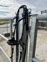 Hackamore dunkelbraun Waldhausen