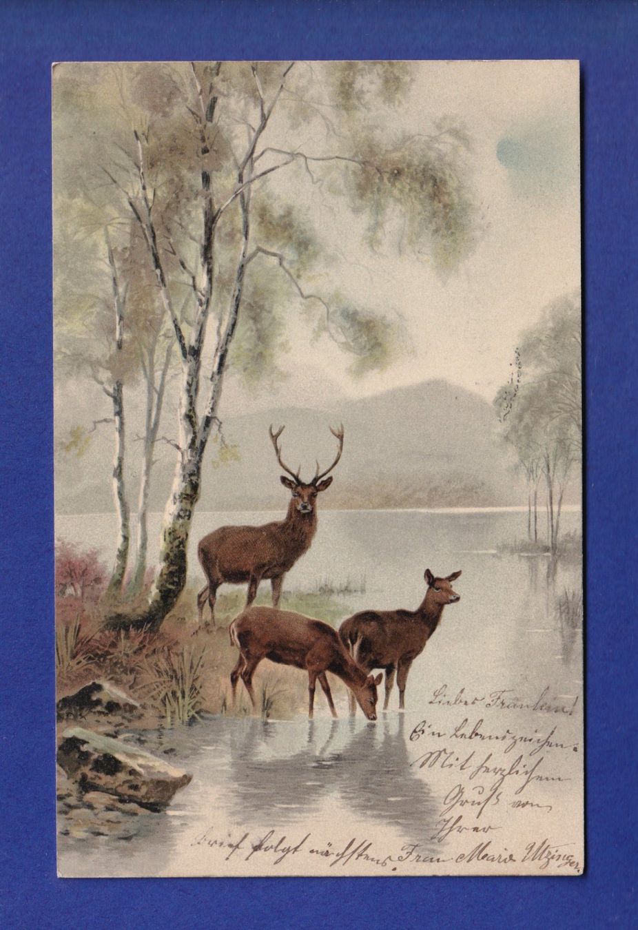 Cartoline postali: CERF et BICHE – Usato da Pully venduto da nicecards-shop