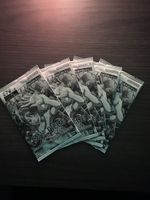 One Piece TCG Let‘s Get Started Campaign 5x Promo Booster JP