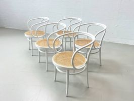 Sedie in legno curvato 209 di Thonet - 2020