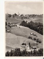 Hemberg 1963