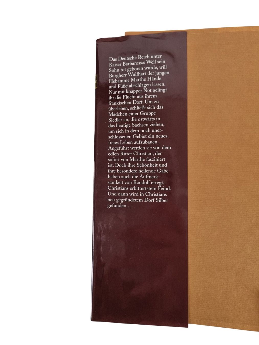 Libri: SABINE EBERT DAS GEHEIMINIS DER HEBAMME – Usato da Wangen b. Olten venduto da Restwert_Wangen 2