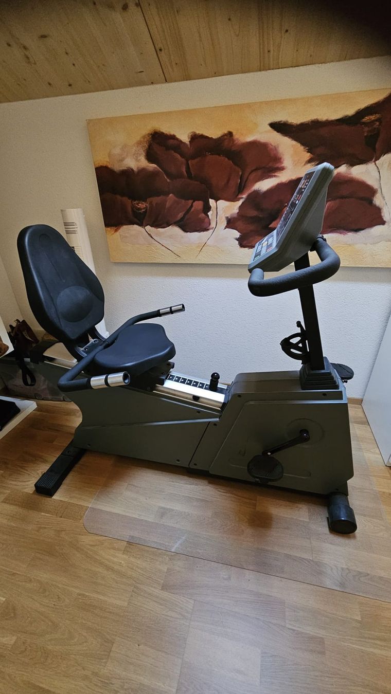 Hometrainer: Johnson JPB 5100 liegefahrad Trainer – Usato da Rüti ZH venduto da Madeira14 1