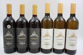 3x Carmelin Cornalin & 3x Malvoise (26100563Z)