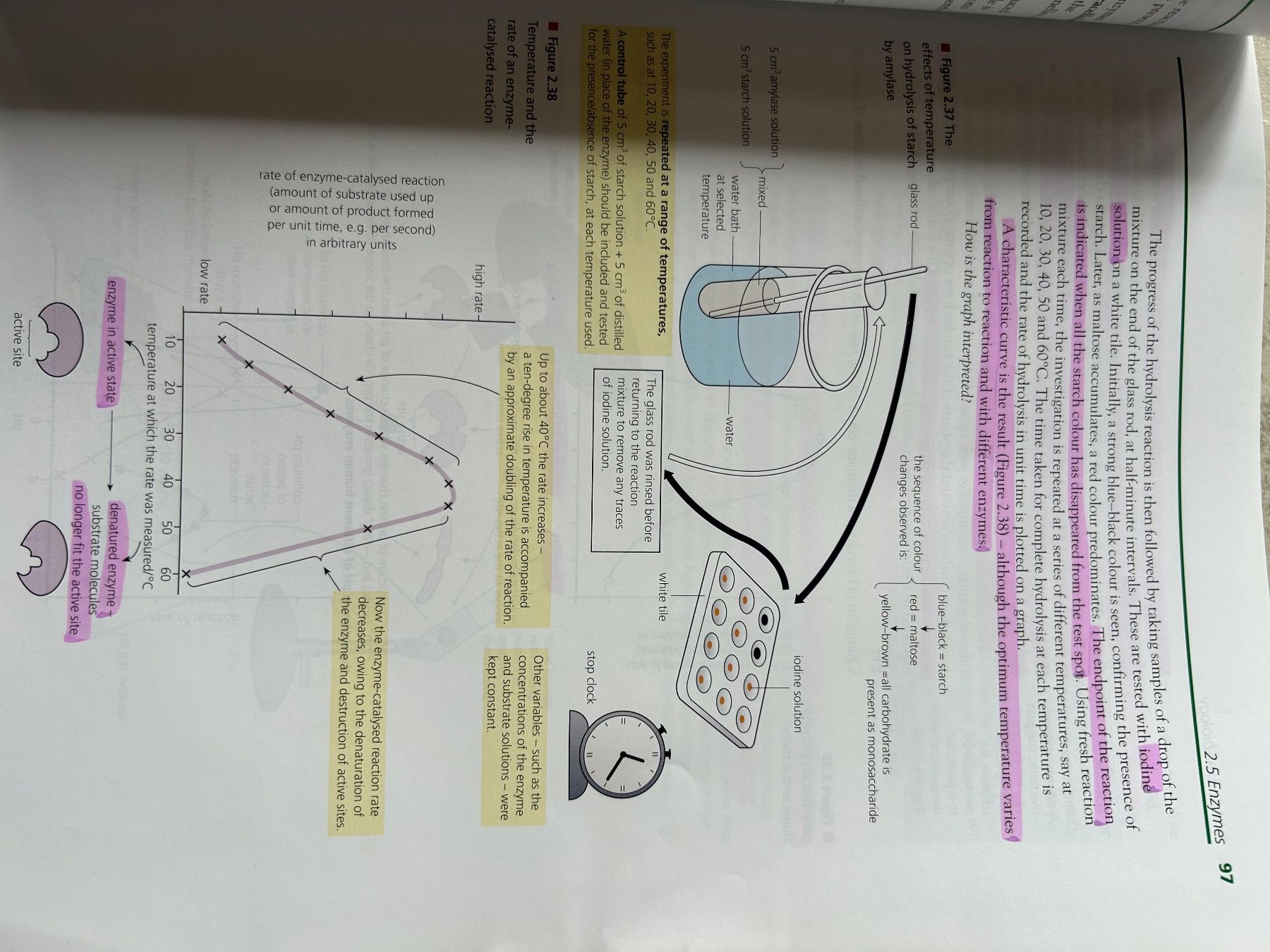Libri: Biology by C.J.Clegg – Usato da Seuzach venduto da hsu_7nqs 1