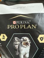 Hundefutter für Welpen