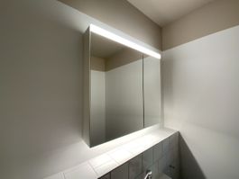 Lavabo Spiegelschrank Talsee