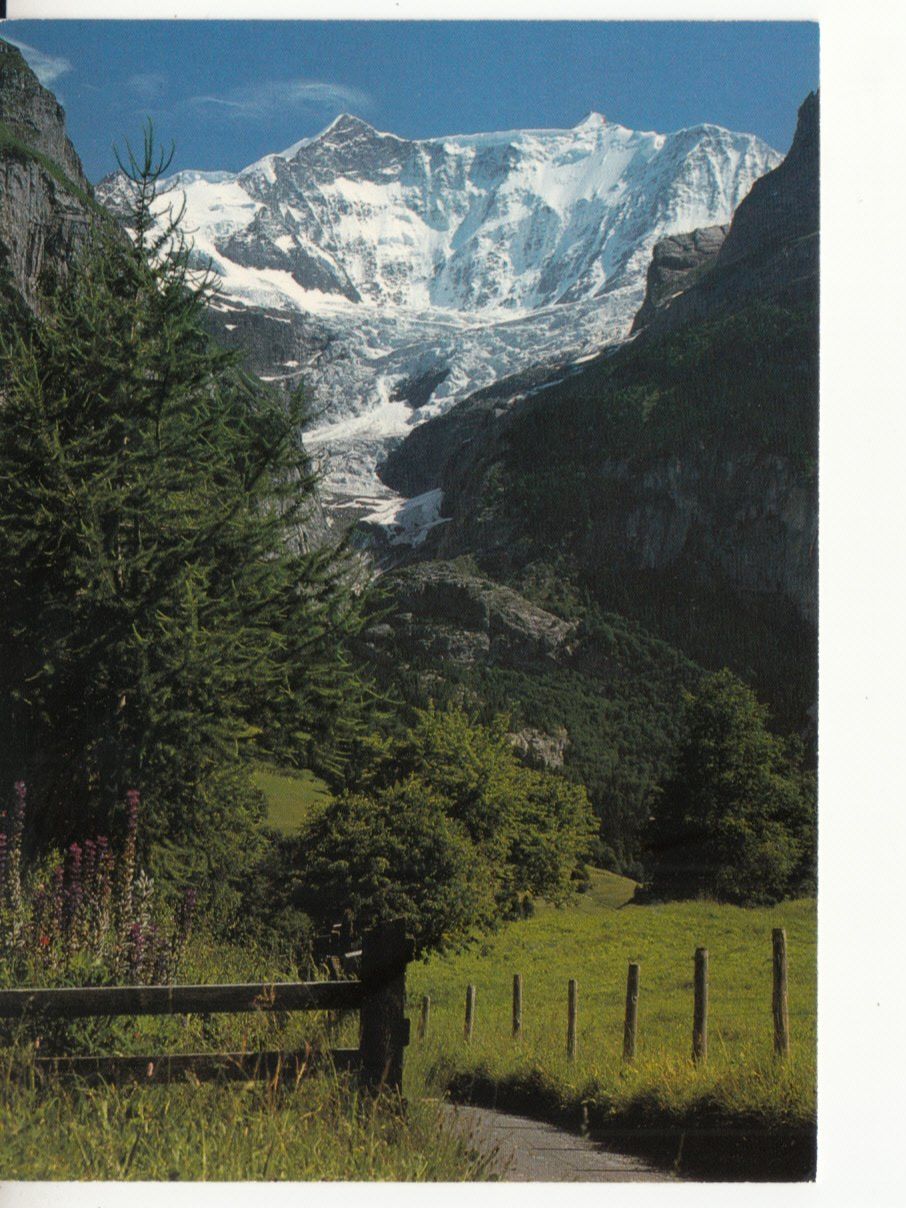 Cartoline postali: Grindelwald 1984 – Usato da Bürglen TG venduto da StampGraf