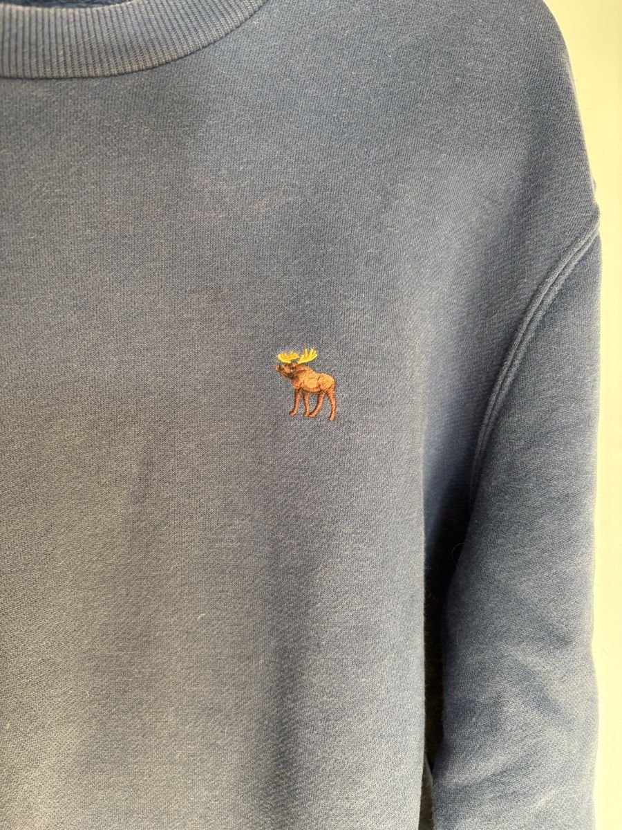 Abercrombie Maglioni & Felpe: Sweat blau Abercrombie XS – Usato da Fribourg venduto da dafral 1