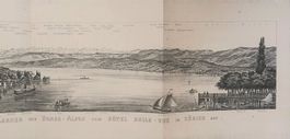 Zürich Panorama gegen die Alpen von 1878