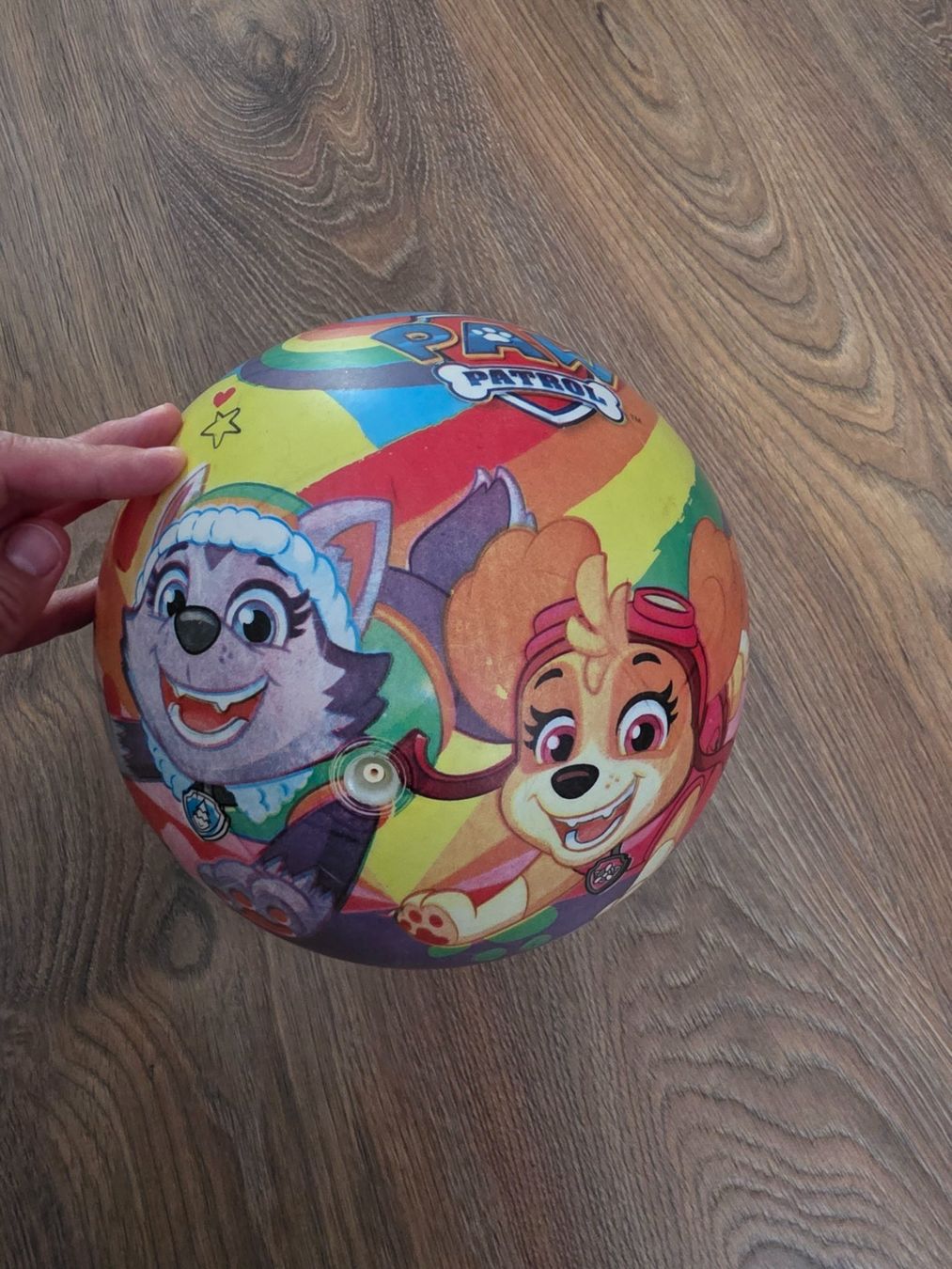 Palloni: Ball, Spielball Paw Patrol – Usato da Nebikon venduto da Japostyle 1