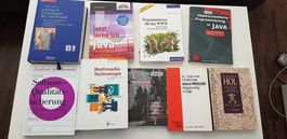 alte Bücher Informatik und Programmierung, 9 Stück
