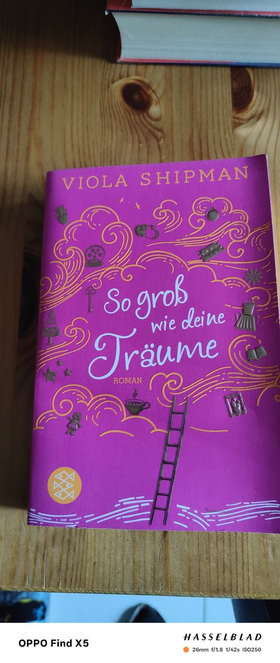 Libri: So gross wie Deine Träume – Usato da Volken venduto da katz5