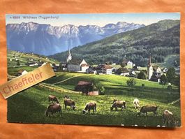Toggenburg Wildhaus Ansichtskarte, Sommergruss aus CH!