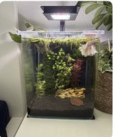 Nano Aquarium 18L von Amtra