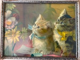 Katzenbild, vermutlich Mitte 20. Jahrhundert