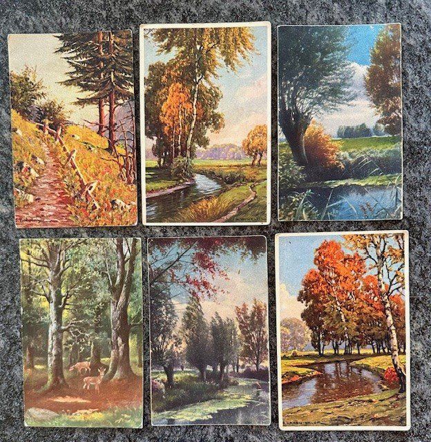 Cartoline postali: Antikes Postkartenset Bäume – Usato da Wald AR venduto da Westi7