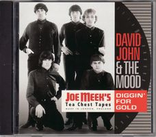 David John & The Mood ‎– Diggin’ For Gold
