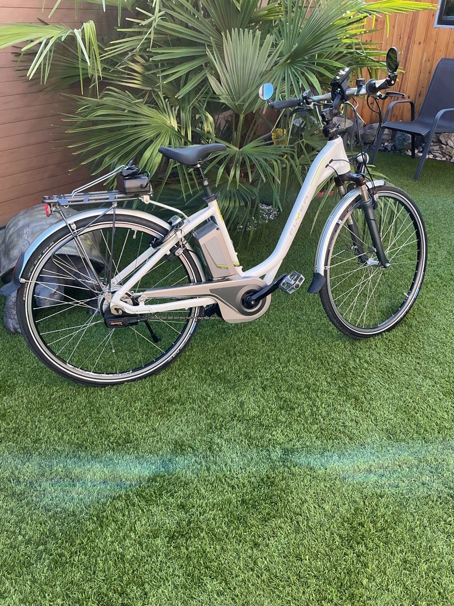 Flyer Biciclette: Fleyer E Bike ab Service  – Usato da Oberbuchsiten venduto da Tesin3 4