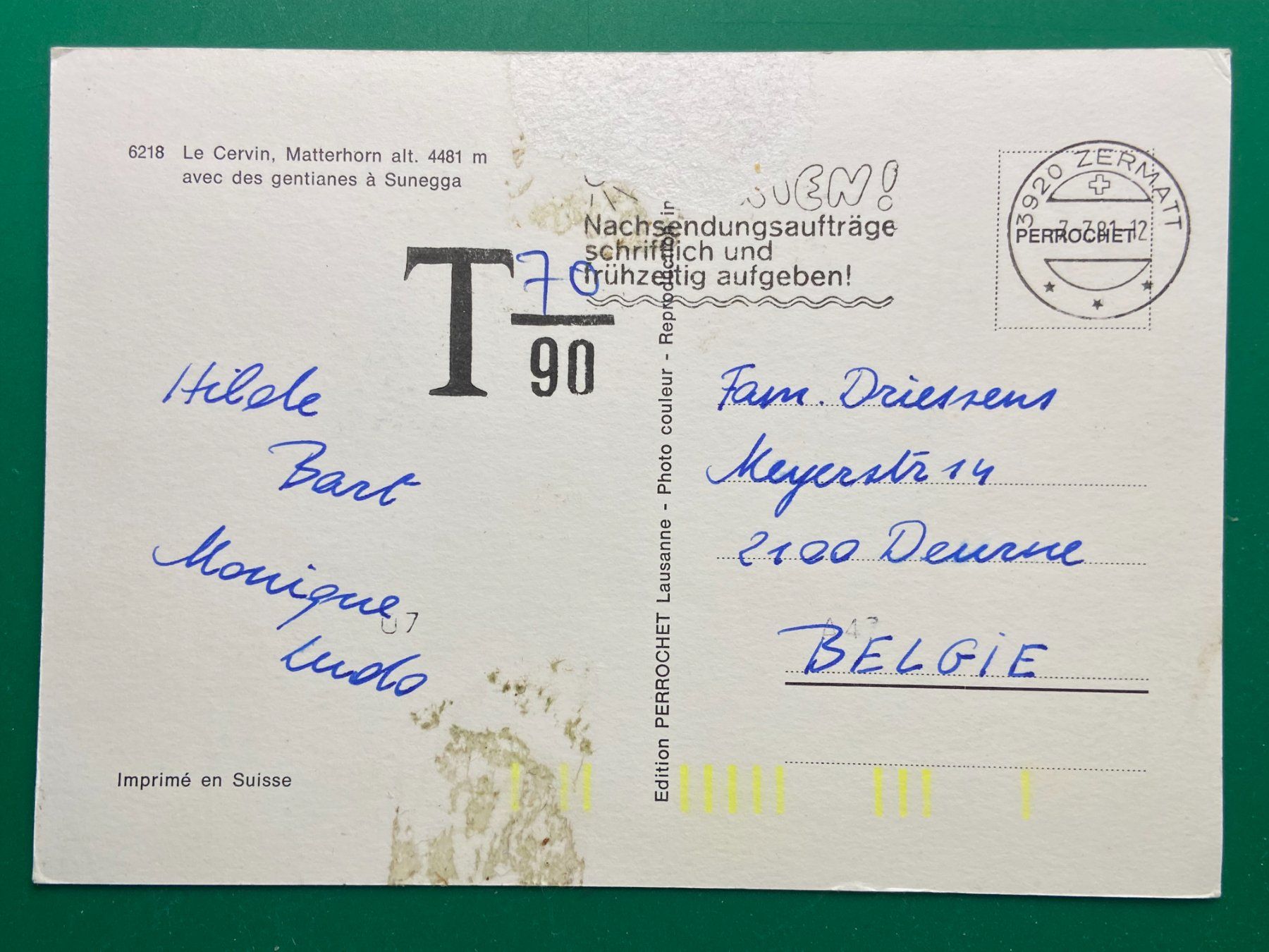 Cartoline postali: Zermatt - Sunegga mit Enzian – Usato da Steg VS venduto da danwer74 1