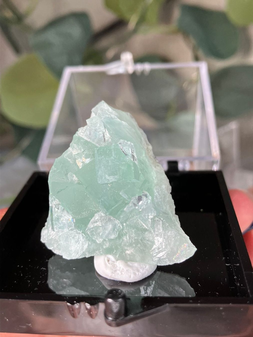 Pietre preziose: Grüner Fluorit – Usato da Neuheim venduto da m.hald 3