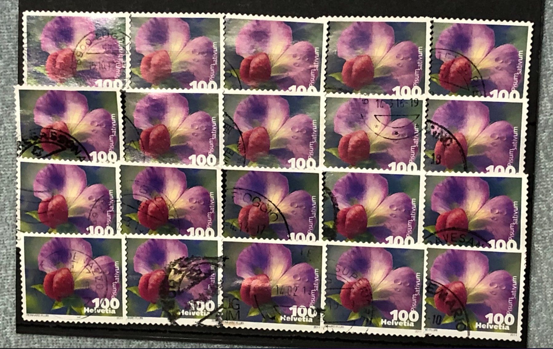 Tutti i francobolli: Nr.1377 Kiefelerbse mit Stempel 2011   – Usato da Aarau venduto da Billa007