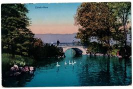 Zürich - Horn, Schwanenfamilie bei der Brücke, gelaufen 1925