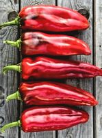 50 Samen "Ochsenhorn Peperoni" ROT‪