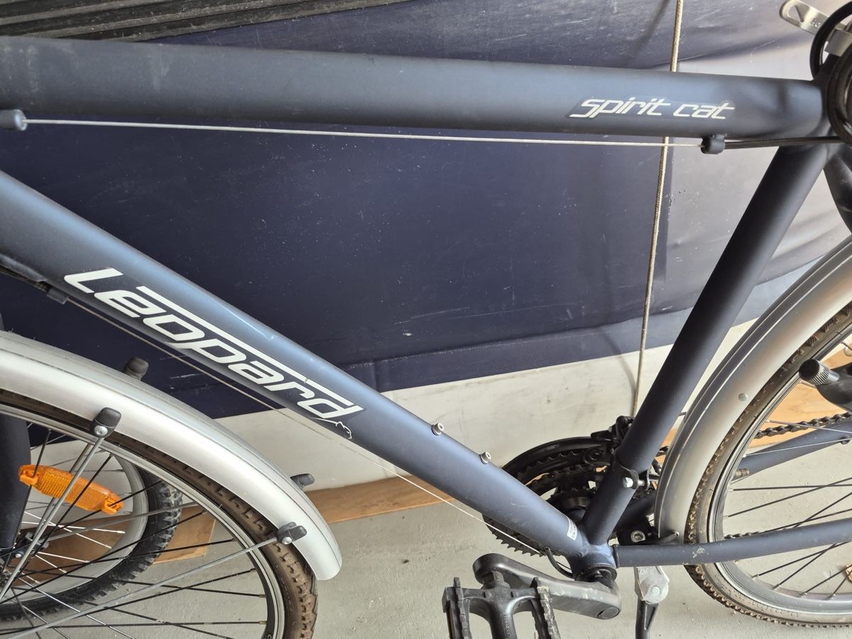 Leopard Biciclette: Leopard Spirit cat Farbe blau – Usato da Hofstetten SO venduto da Smari6 3