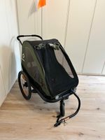 Hamax Fahrradanhänger grün gebraucht mit Defekt Stoff