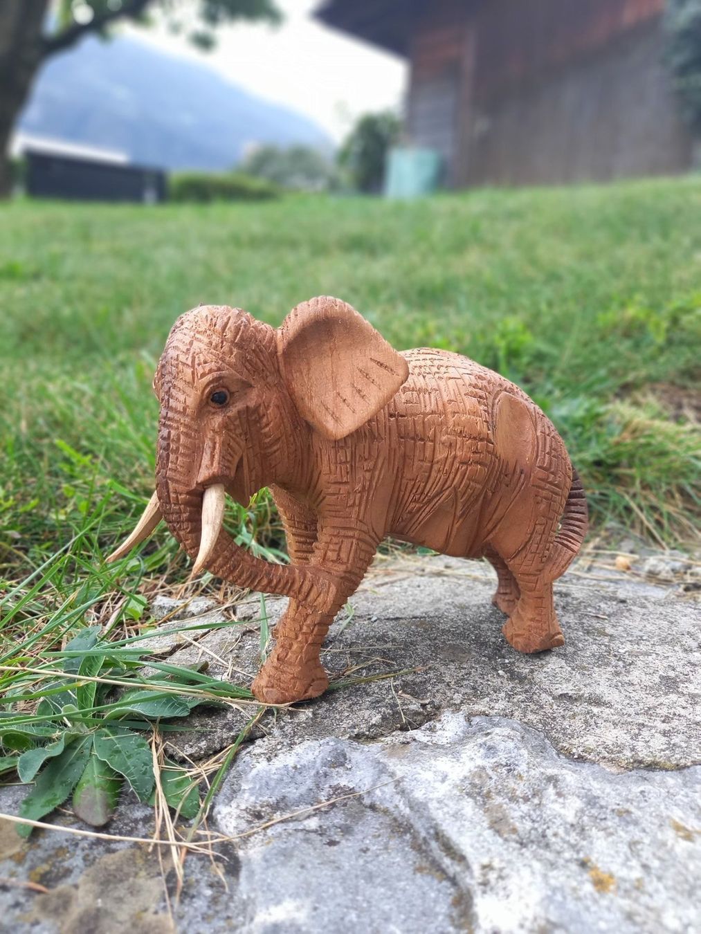 Xilografie: kleiner Elefant aus Holz – Nuovo e nell'imballaggio originale da Domat-ems venduto da Gr8wood 4