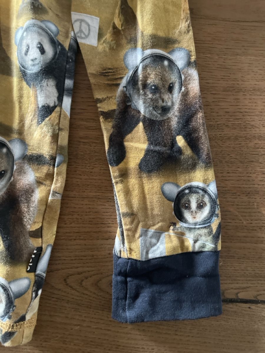 Molo Camicie, T-shirt & Polo: Molo Shirt 140  – Usato da Täuffelen venduto da Nice800 2