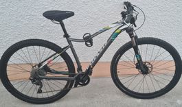 specialized vtt femme