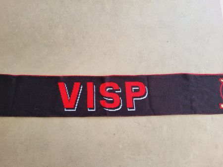 EHC Visp Schal