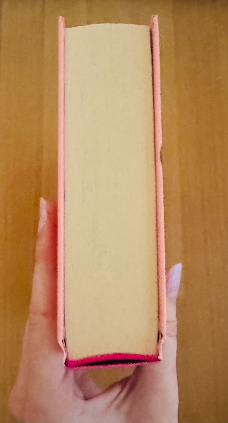 Bücher: Ehemänner- Holly Gramazio – Gebraucht aus Bettwil von bellis_perennis_222 3