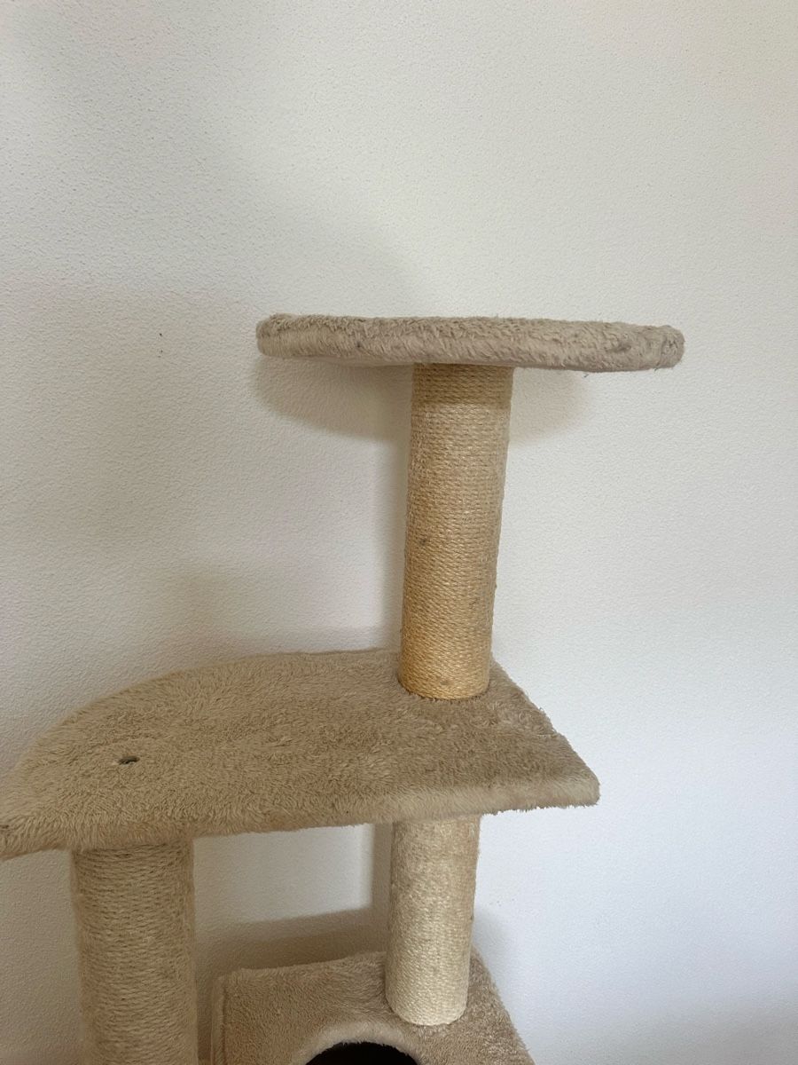 Tiragraffi: Kratzbaum für Katzen – Usato da Illnau venduto da ais_qm7t 3