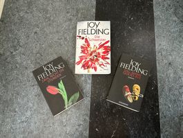 Bücher Set (3 Bücher) - Spannung pur - Joy Fielding