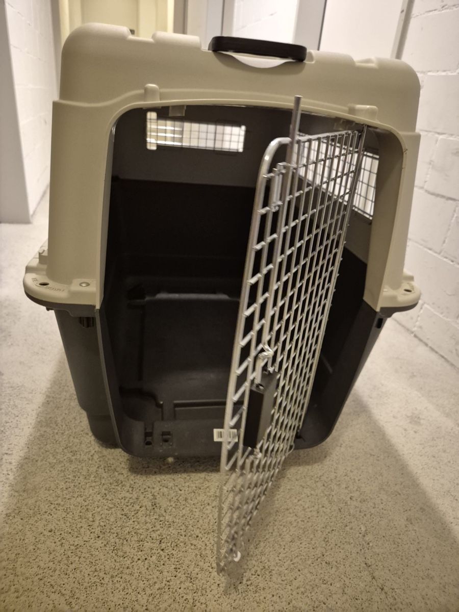 Liege- & Schlafplätze: Hundebox Transportbox Top Zustand! – Neu (gemäss Beschreibung) aus Reichenburg von Benutzer123_ 5