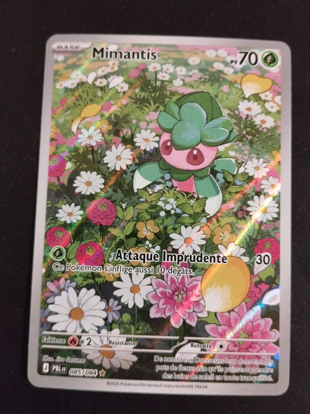 Pokémon Carte collezionabili: Pokémon Nuit Noire: Mimantis 085/084 FR – Usato da Palézieux-Village venduto da oufoux08