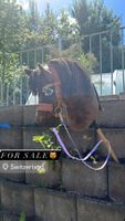 Hobby horse
