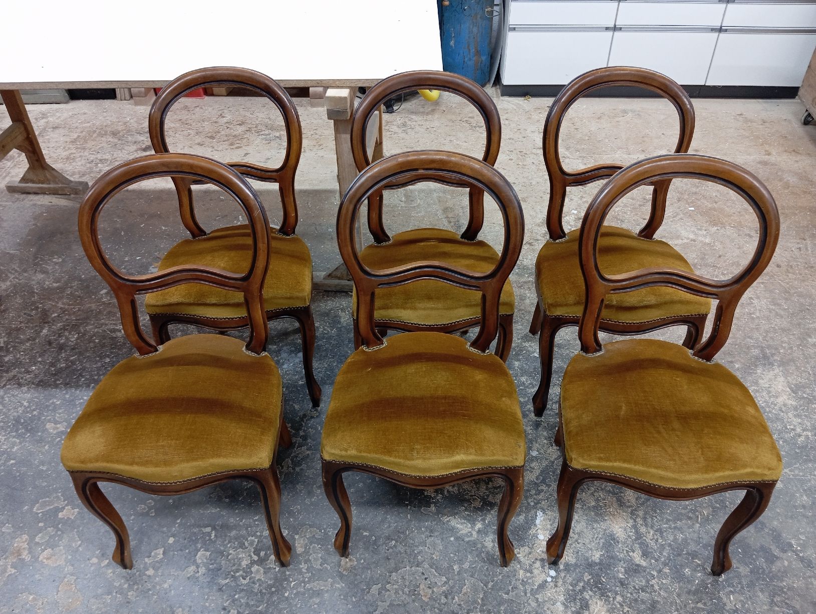 Stühle: 6er Set Stühle gepolster – Gebraucht aus Seedorf UR von 3beni 3