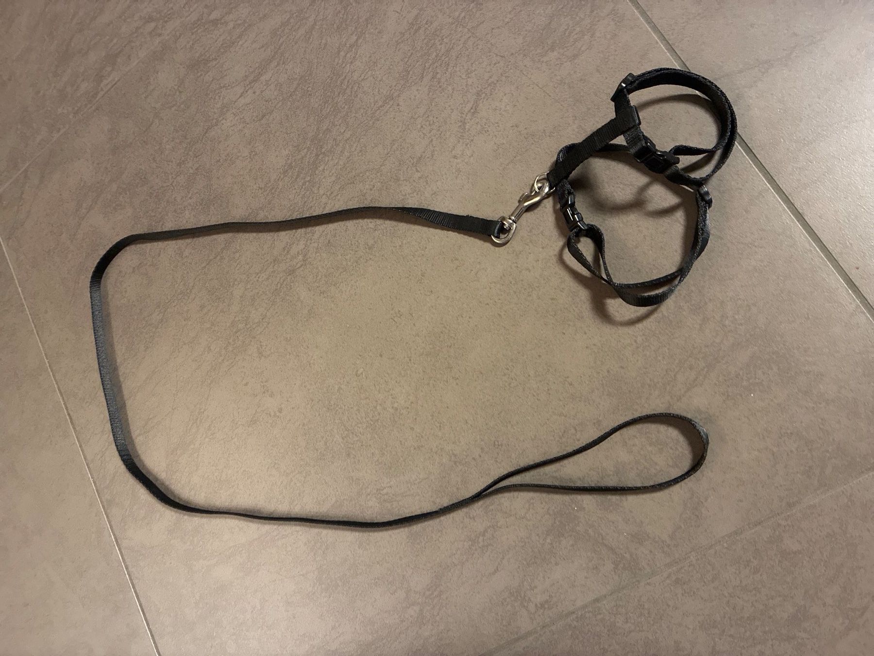 Leine & Halsband: Katzenleine mit Gschirr – Gebraucht aus Guntershausen von Gloominati